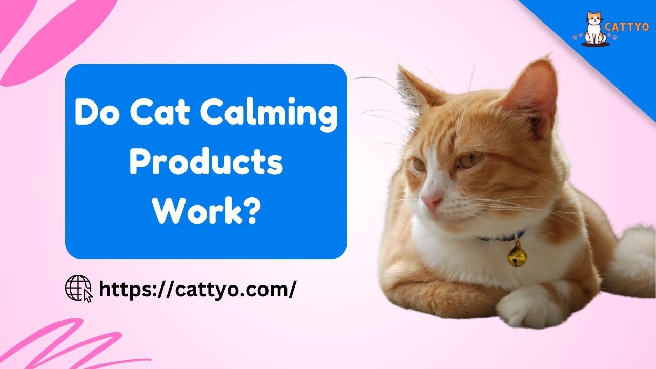 Do Cat Calming Products Work