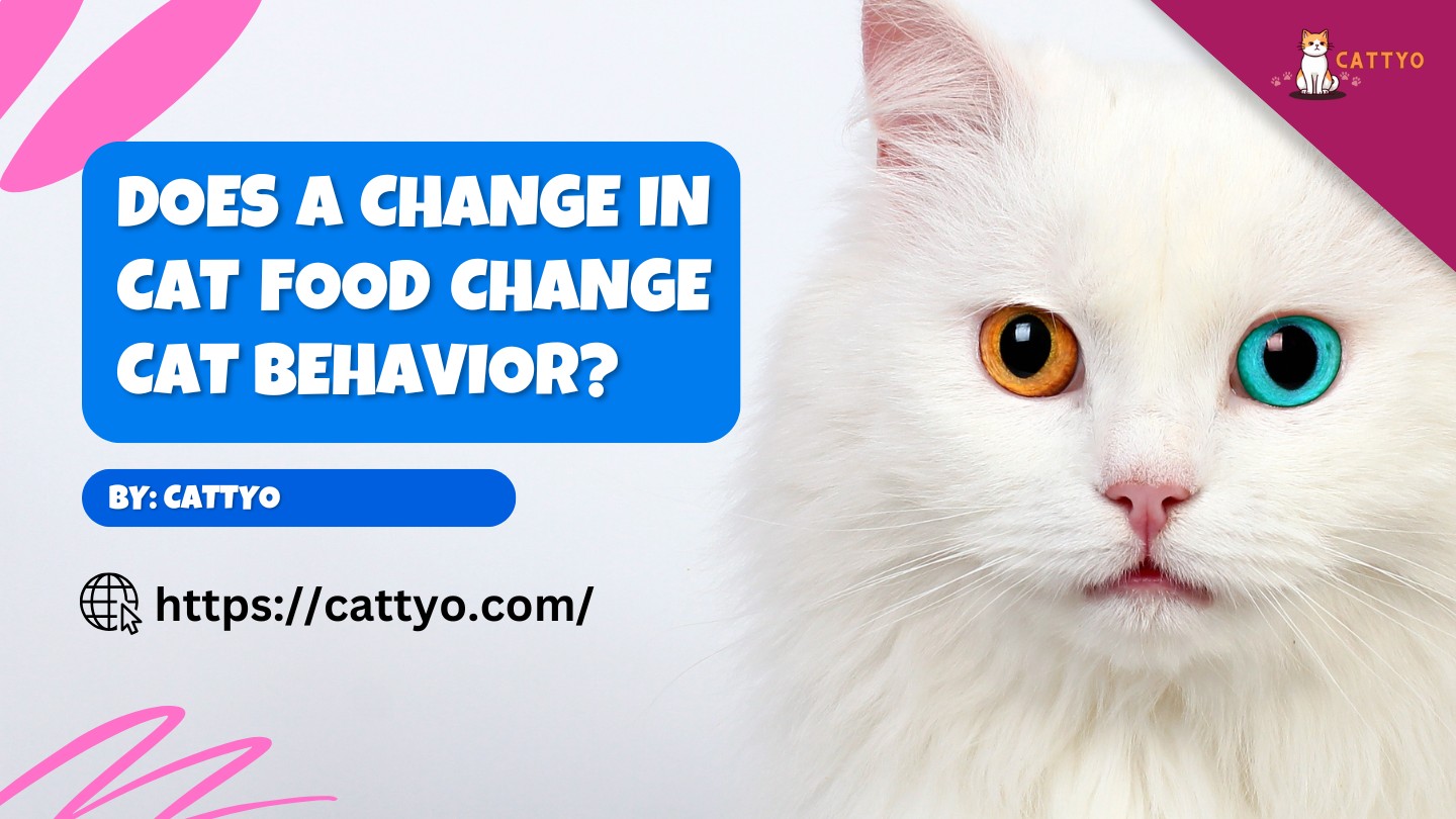 Does a Change in Cat Food Change Cat Behavior