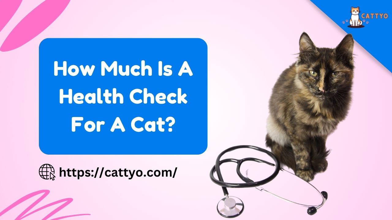 How Much Is A Health Check For A Cat