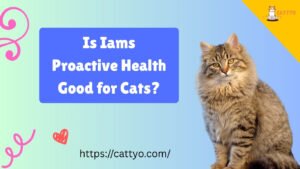 Is Iams Proactive Health Good for Cats?