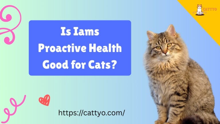 Is Iams Proactive Health Good for Cats?