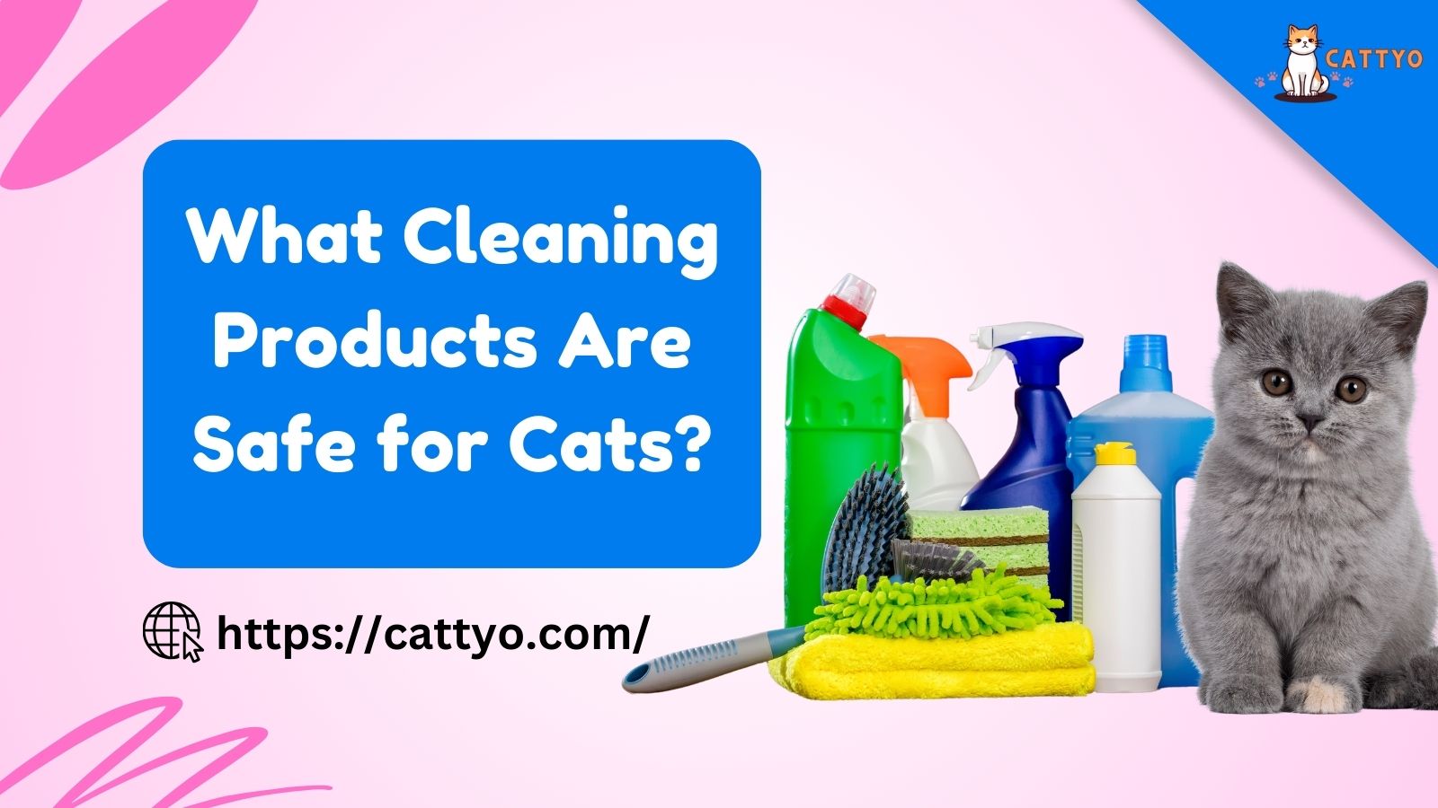 What Cleaning Products Are Safe for Cats?