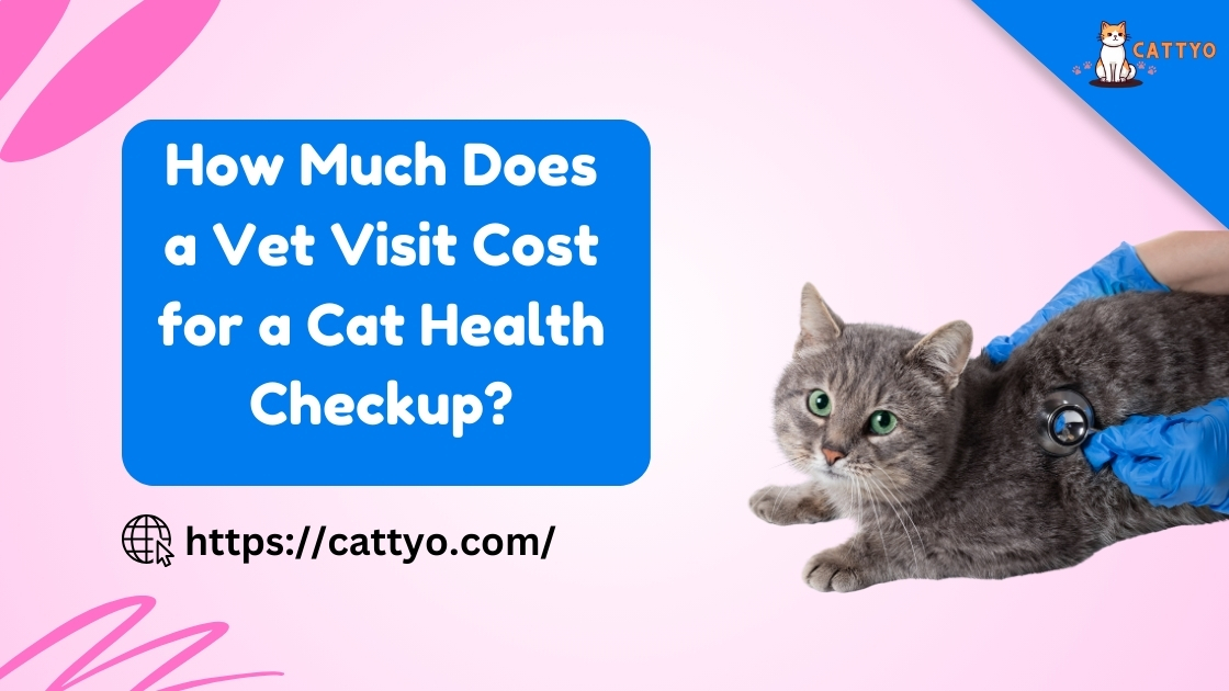 How Much Does a Vet Visit Cost for a Cat Health Checkup