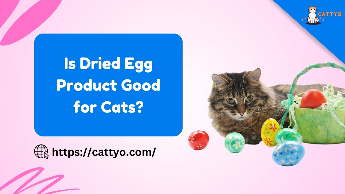 Is Dried Egg Product Good for Cats