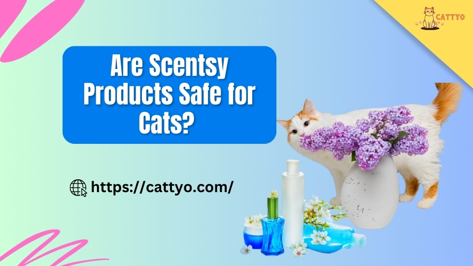 Are Scentsy Products Safe for Cats