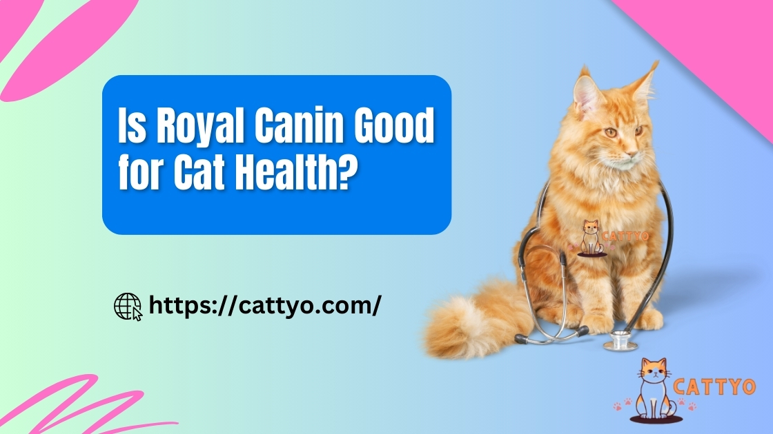 Is Royal Canin Good for Cat Health