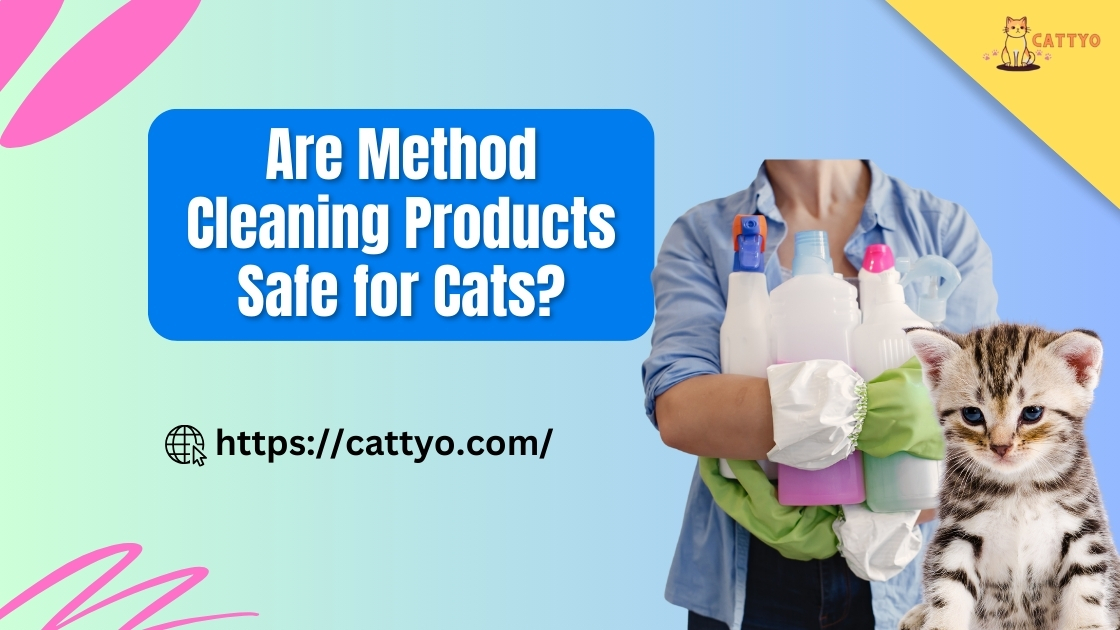 Are Method Cleaning Products Safe for Cats