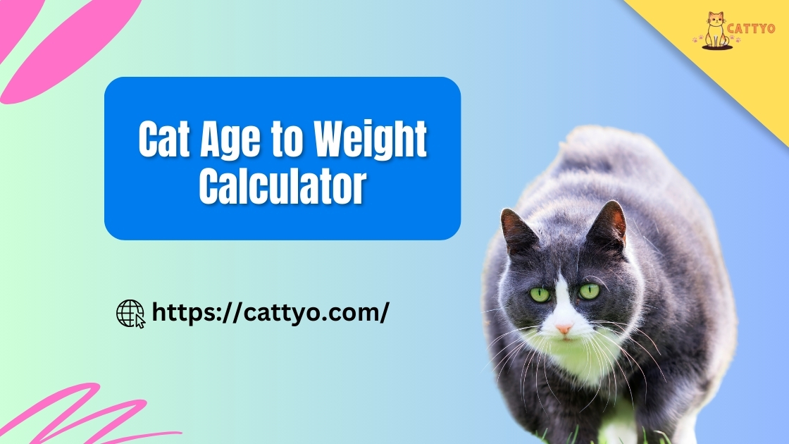 Cat Age to Weight Calculator