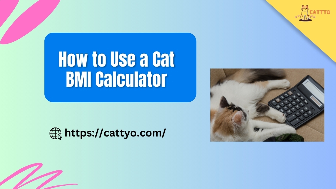 Cat BMI Calculator