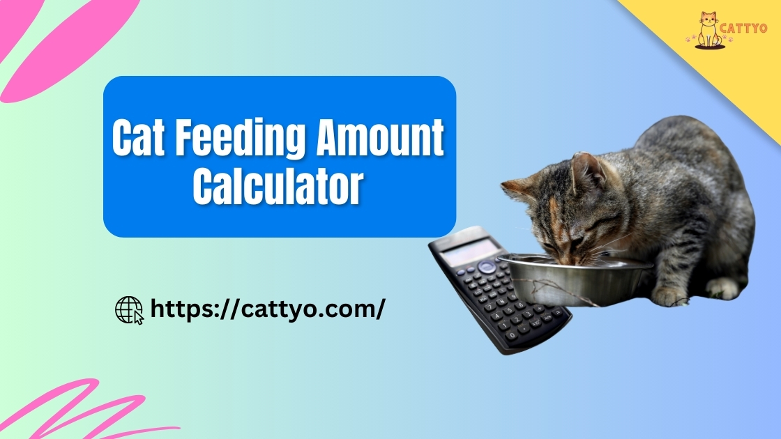Cat Feeding Amount Calculator
