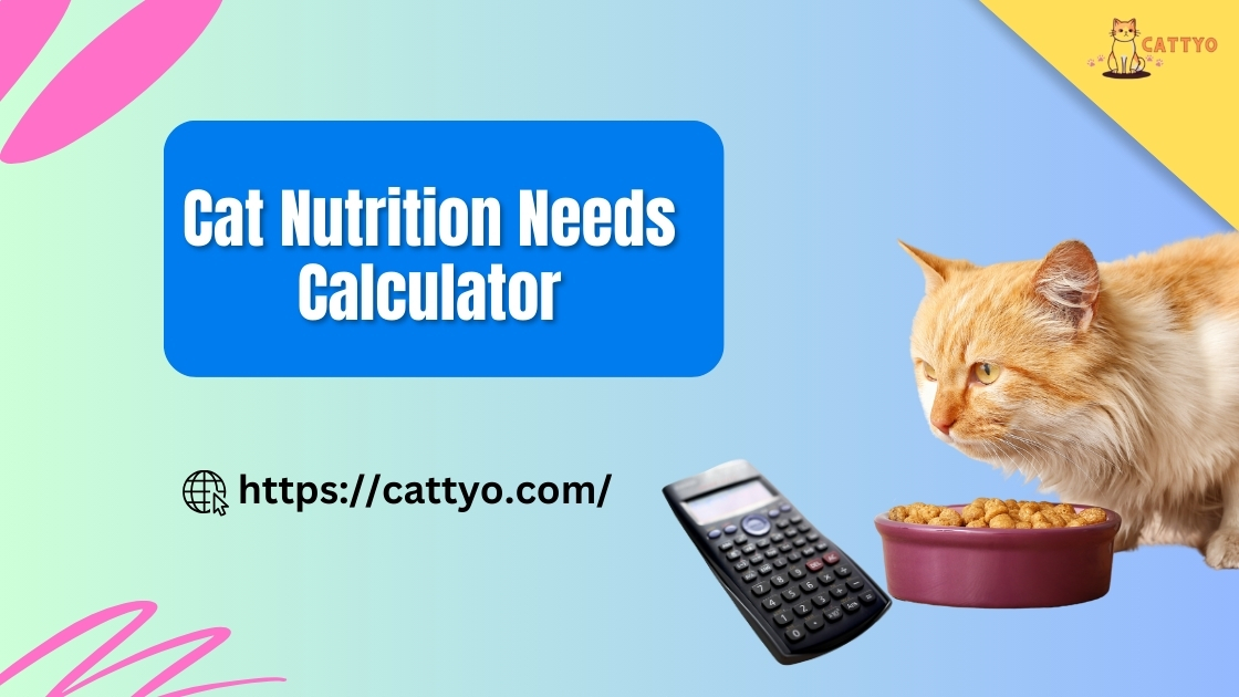 Cat Nutrition Needs Calculator