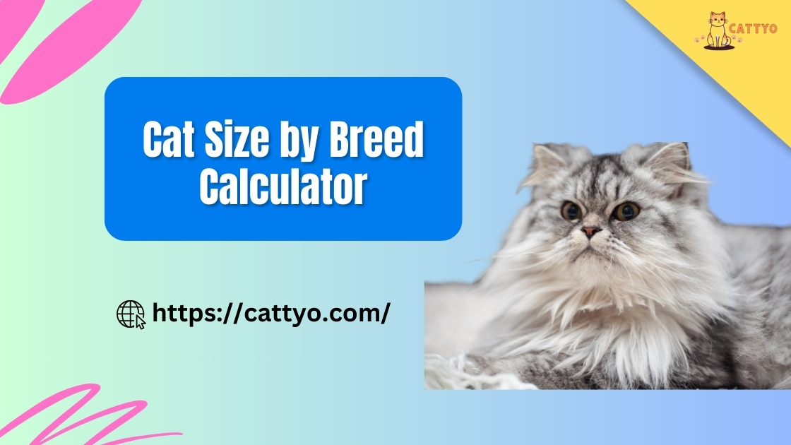 Cat Size by Breed Calculator
