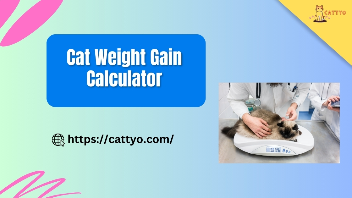 Cat Weight Gain Calculator