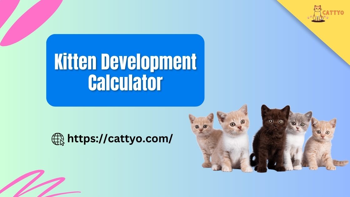 Kitten Development Calculator