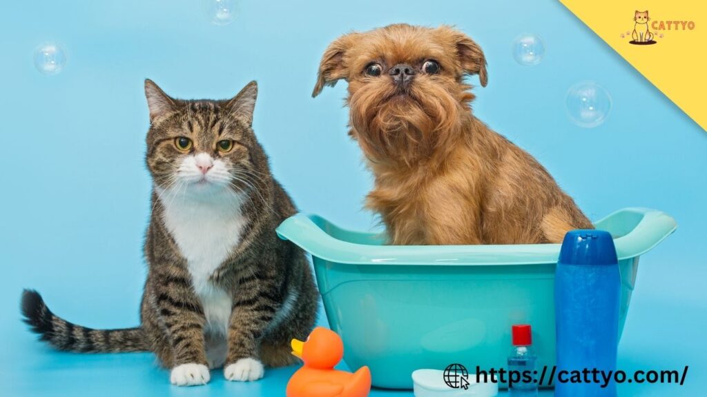 Cat shampoo for sensitive skin