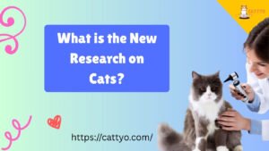 What is the New Research on Cats?