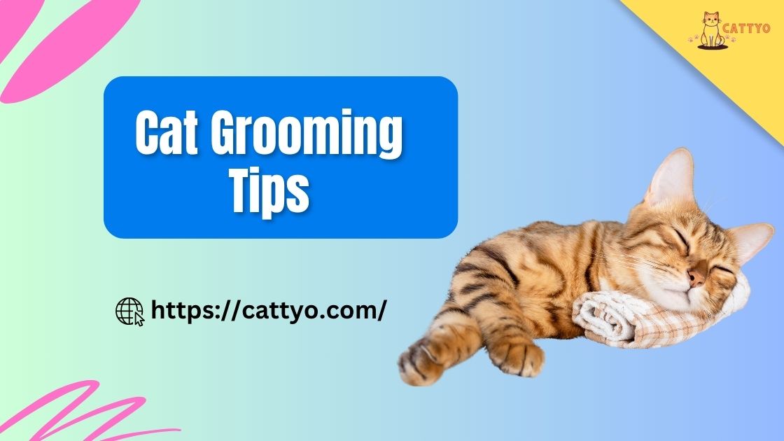 Cat Grooming Tips