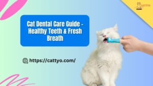 Cat Dental Care Guide