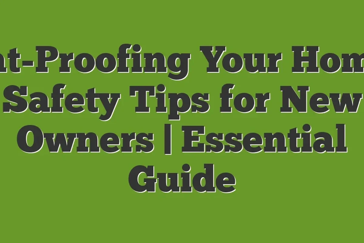 A clean litter box and cat care tips for health safety