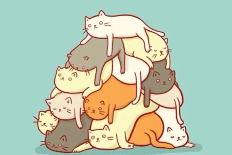 What Do You Call a Pile of Cats Fun Facts and Cute Names