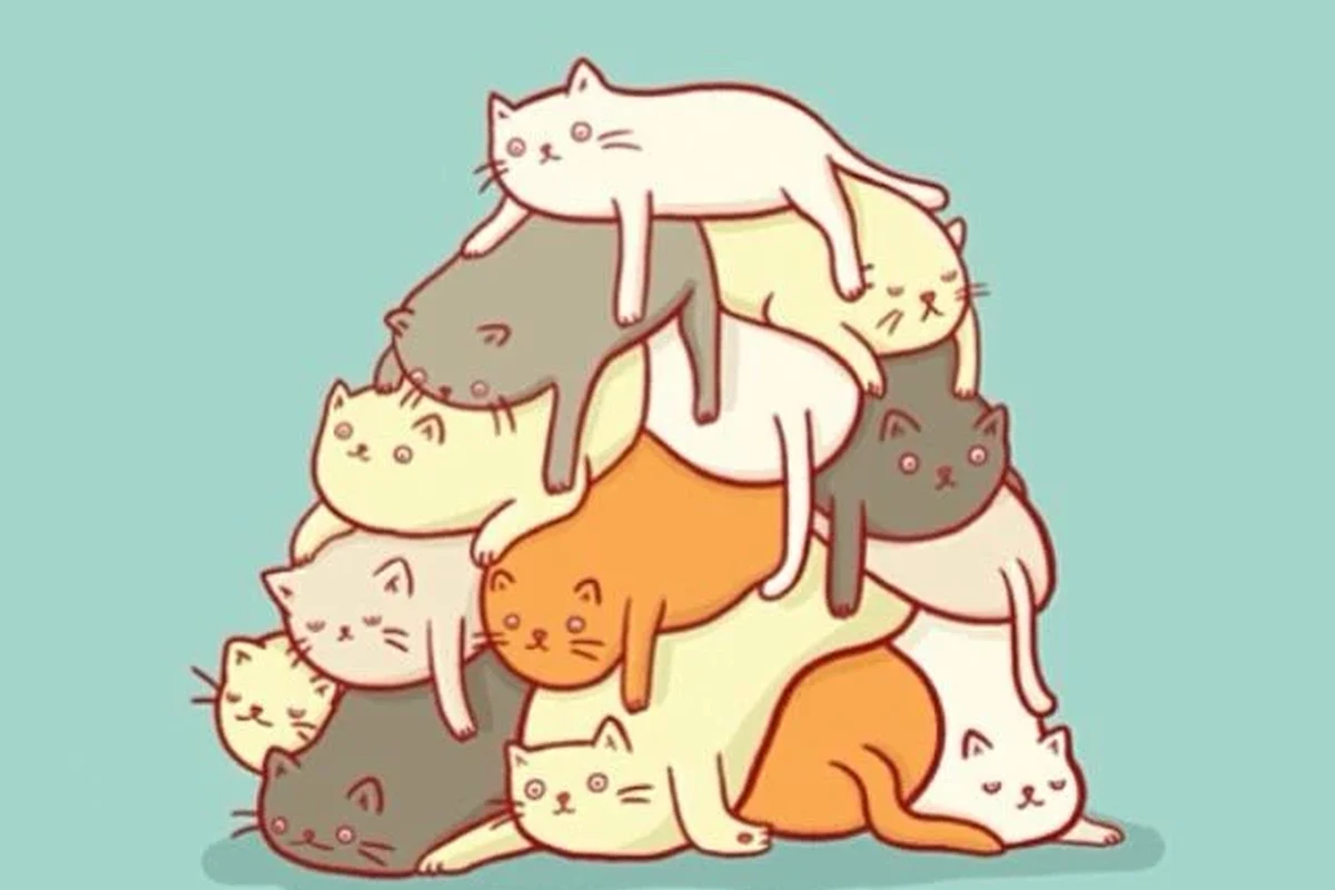 A group of cats lounging together, showcasing their playful nature.