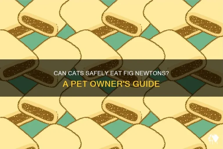 Can Cats Eat Fig Newtons Safely for Their Health