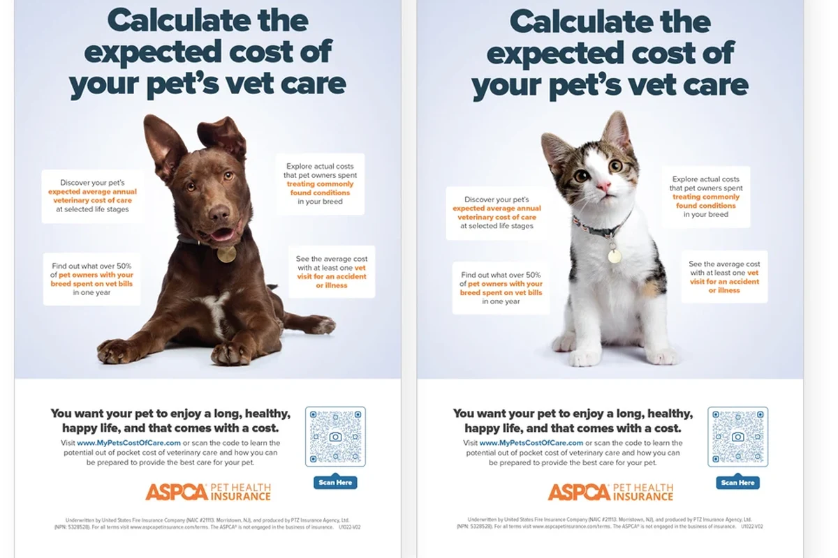 Cat care guide for cancelling ASPCA pet insurance.