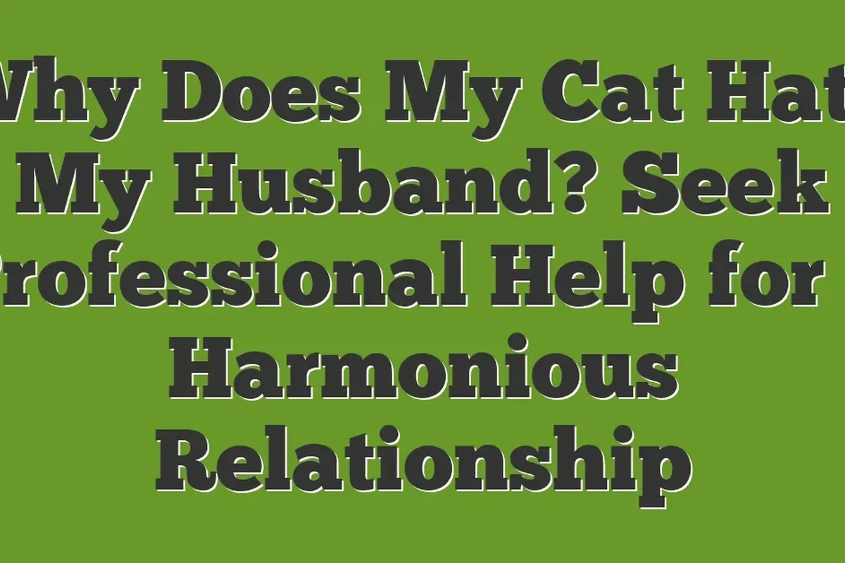 Cat sitting calmly, illustrating feline behavior and care.