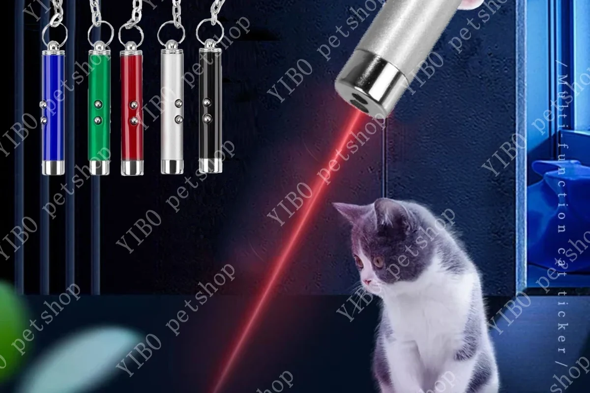 A playful cat chasing a laser pointer dot on the floor.