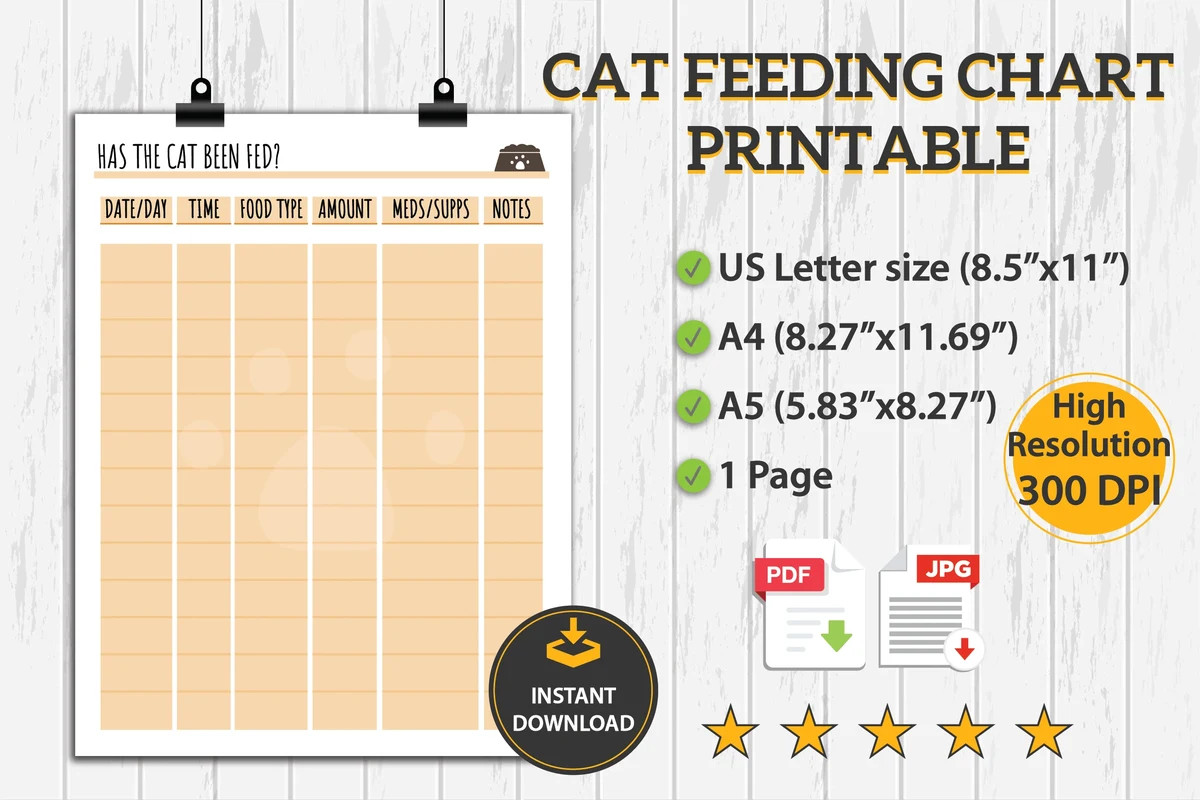 Cat with a bowl of food, representing how much to feed cats
