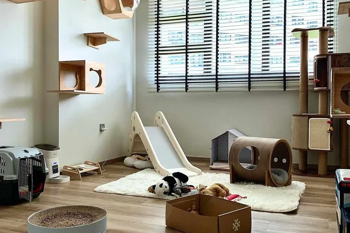 A cat playing with paperball toys near water