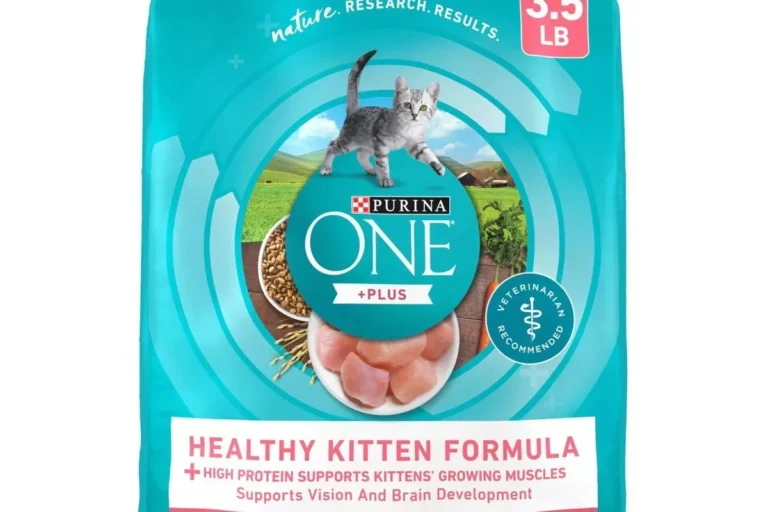 What Is the Healthiest Kitten Food for Optimal Growth