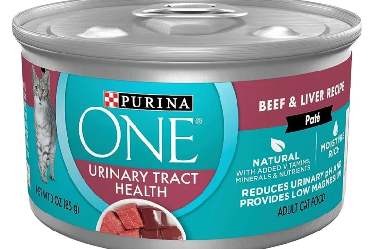 What Ingredients Promote Urinary Tract Health in Cat Food