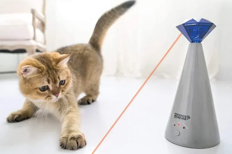 Are Laser Toys Bad for Cats Understanding the Risks