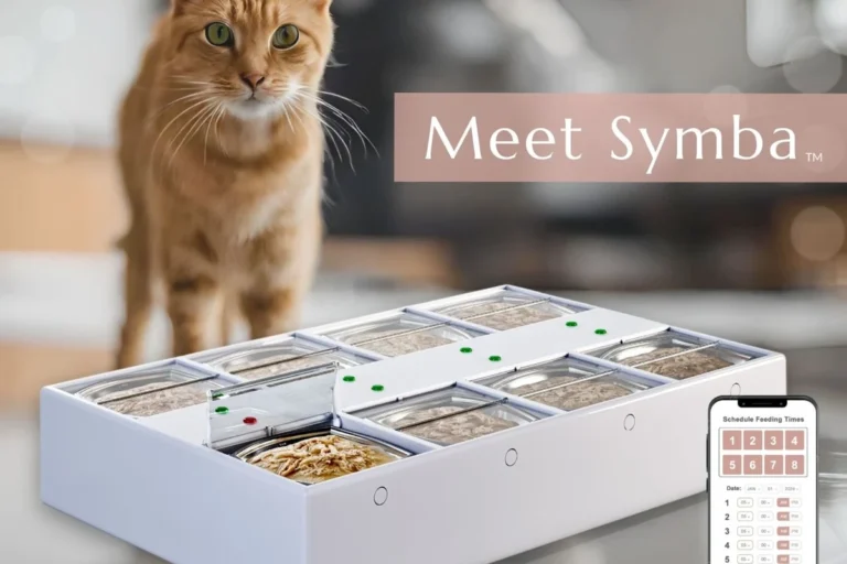 How Long Can Wet Cat Food Be Refrigerated for Safe Feeding
