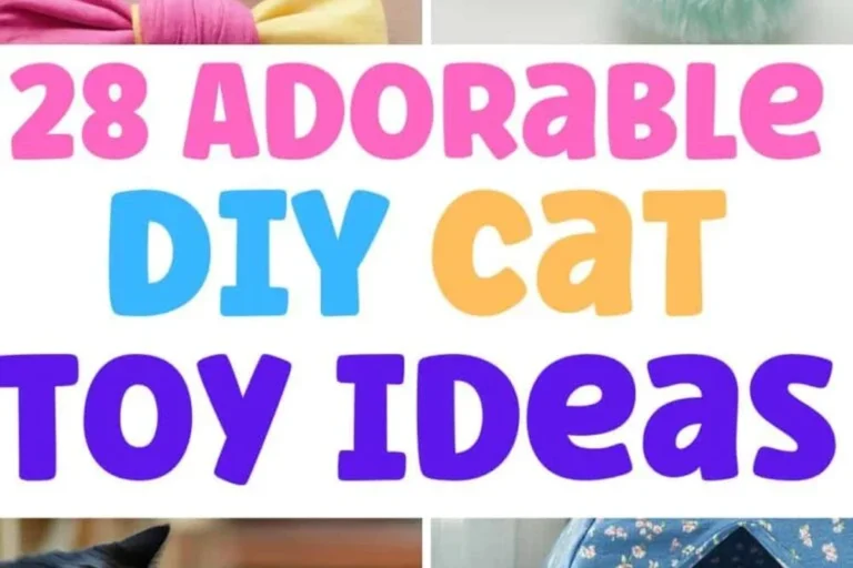 How to Make a Cat Toy That Keeps Your Feline Entertained