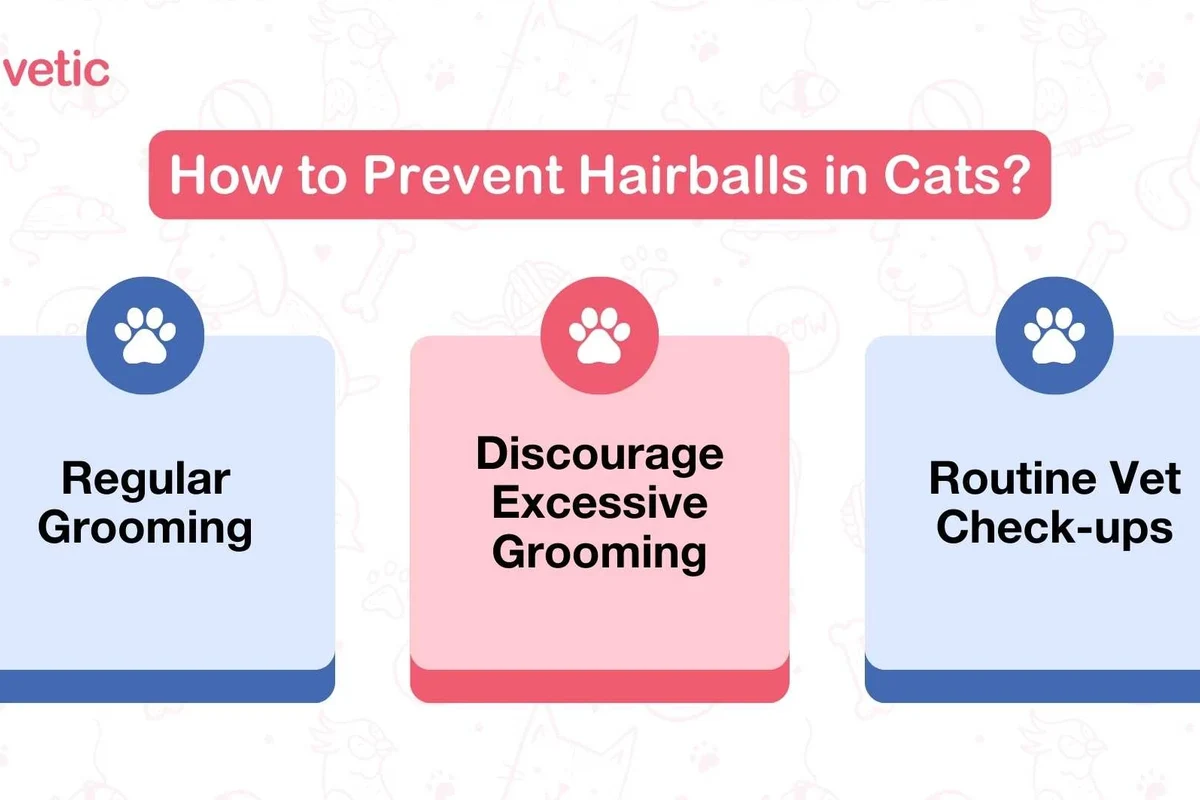 Cat vomiting frequently, exploring causes and solutions for cat owners.