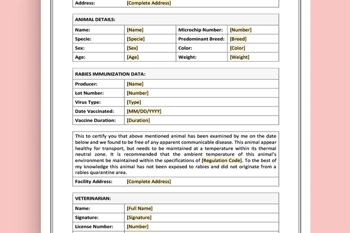 Health certificate for a cat, showing cost and important information