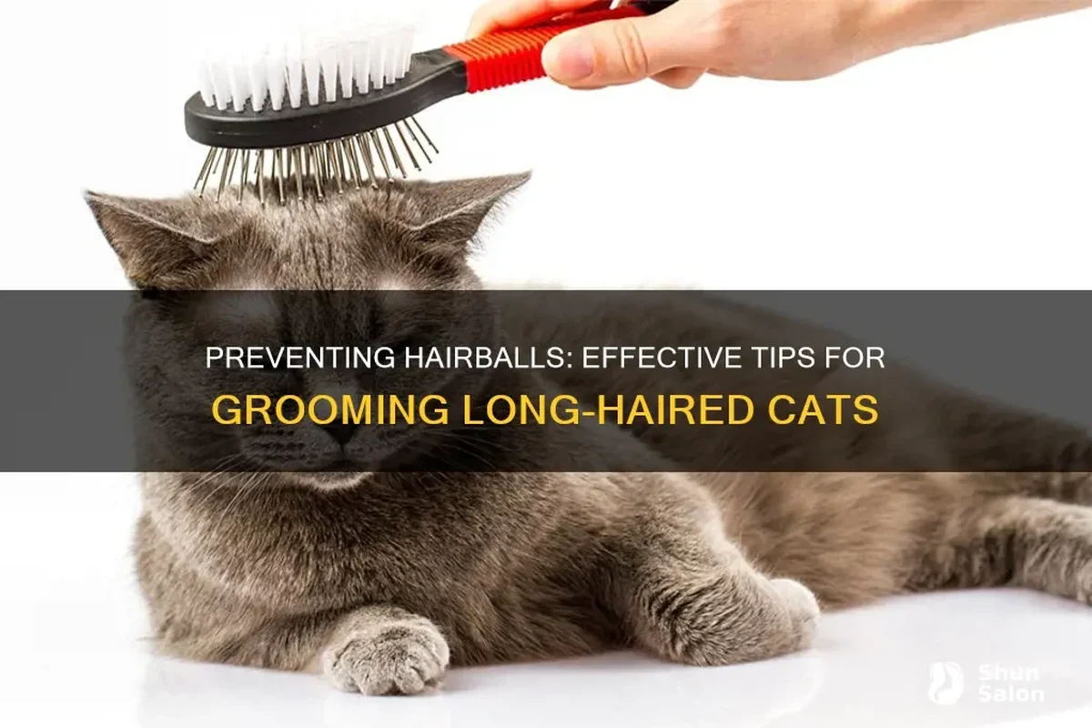 Cat vomiting a hairball, a common issue in feline care.