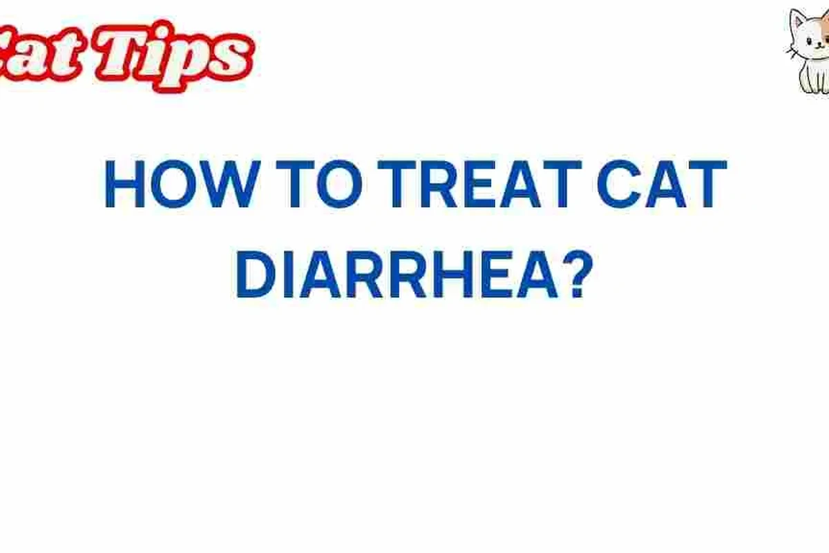 A cat with diarrhea showing signs of distress and discomfort.