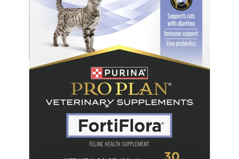 How Do You Treat a Cat with Diarrhea for Quick Relief