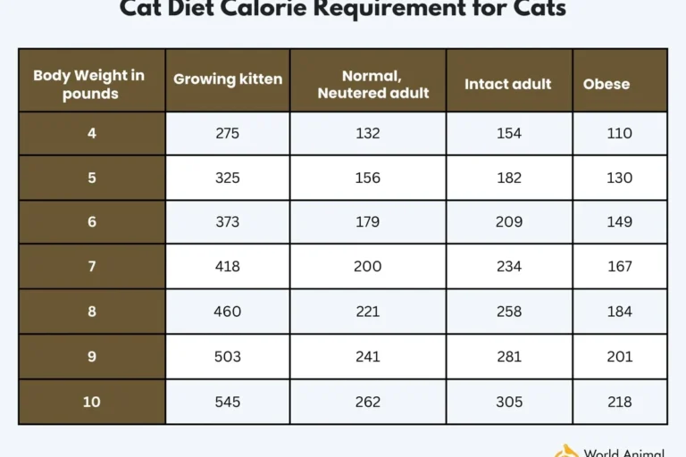 What Does Cats Like to Eat for a Healthier Happier Pet