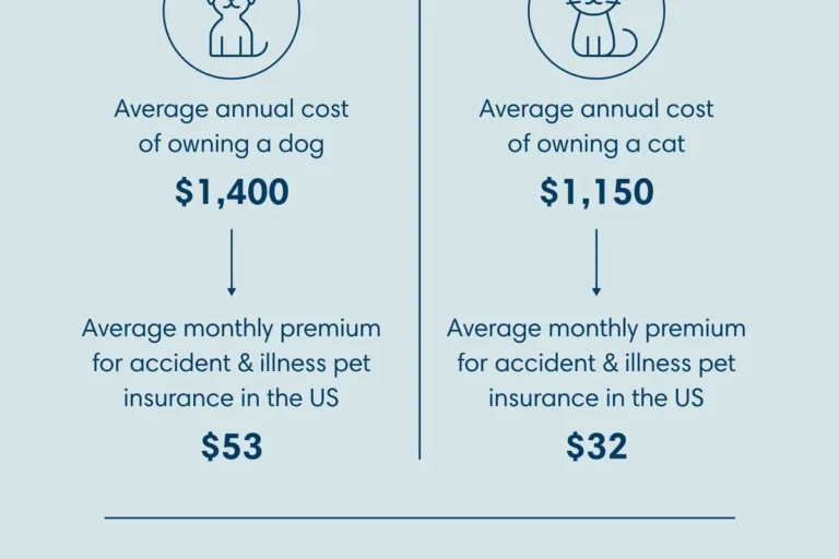 Which Pet Insurance Pays Vet Directly for Stressfree Visits