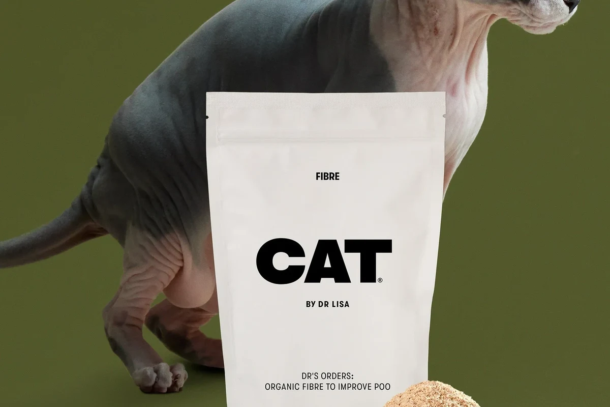 Cat eating fiber-rich food for better digestion.
