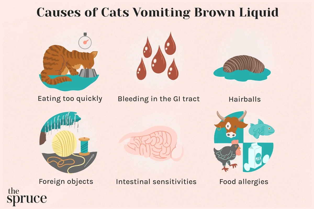 Cat vomiting bile on a carpet, showing concern in a home setting.
