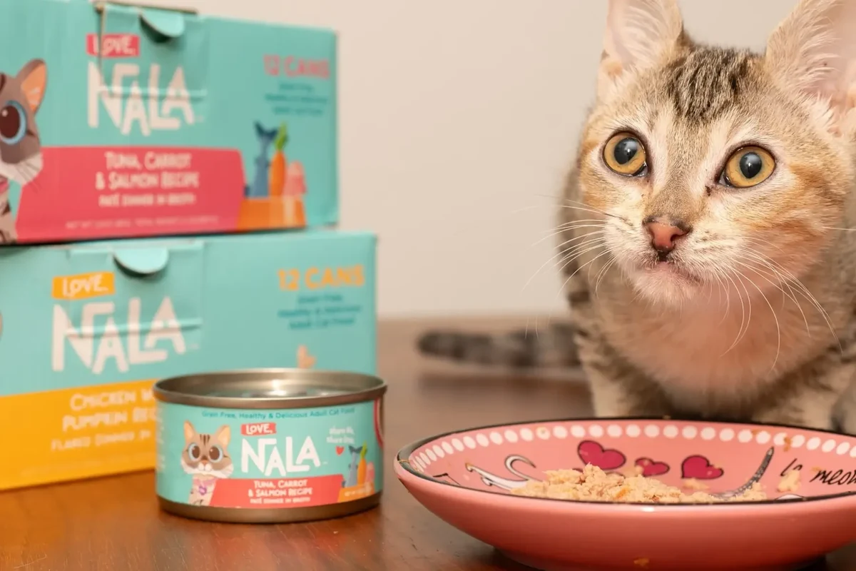 Canned cat food with a happy cat eating