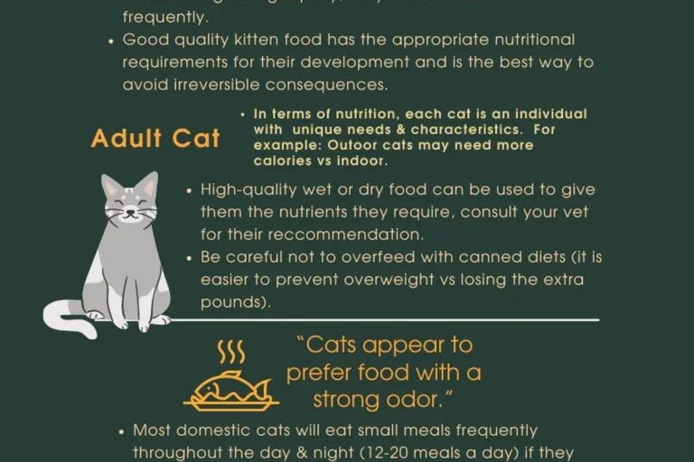 How Much Cat Food Does a Cat Need for Optimal Health